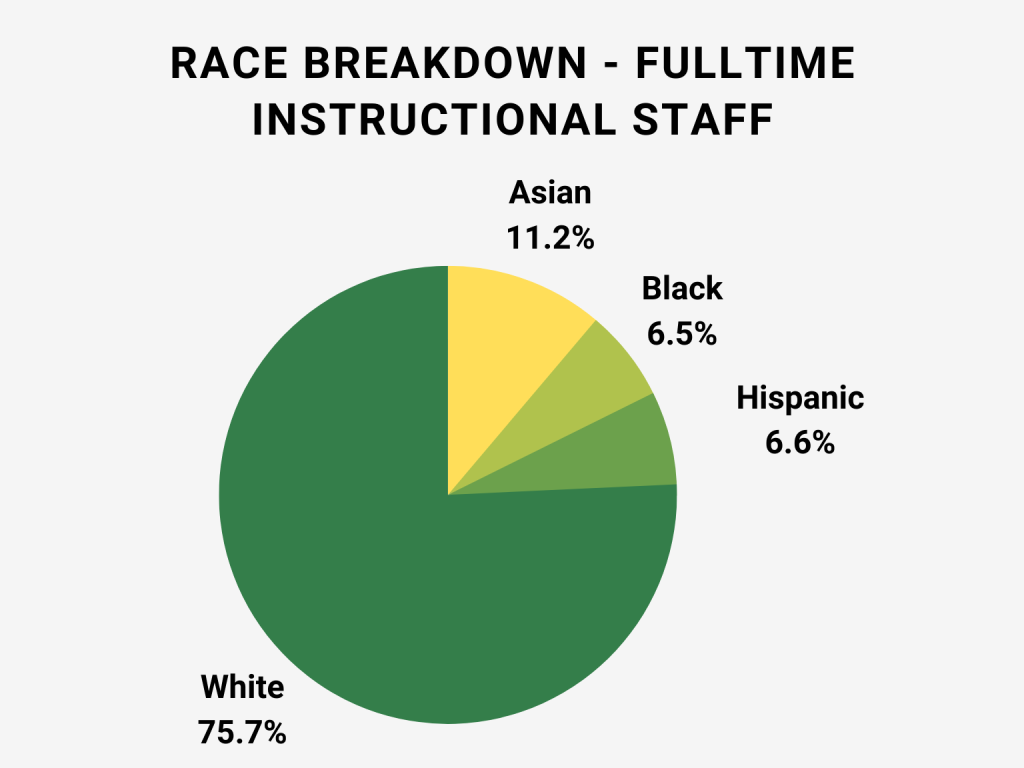 fulltime instructional stff race breakdown